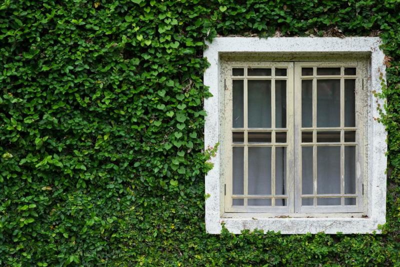 R&eacute;nover une fen&ecirc;tre ancienne &agrave; Dammartin-en-Go&euml;le, quelles options de vitrage traditionnel ?